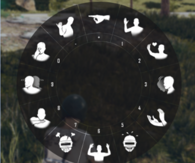 How Can I Use The Emotes Pubg Support - 