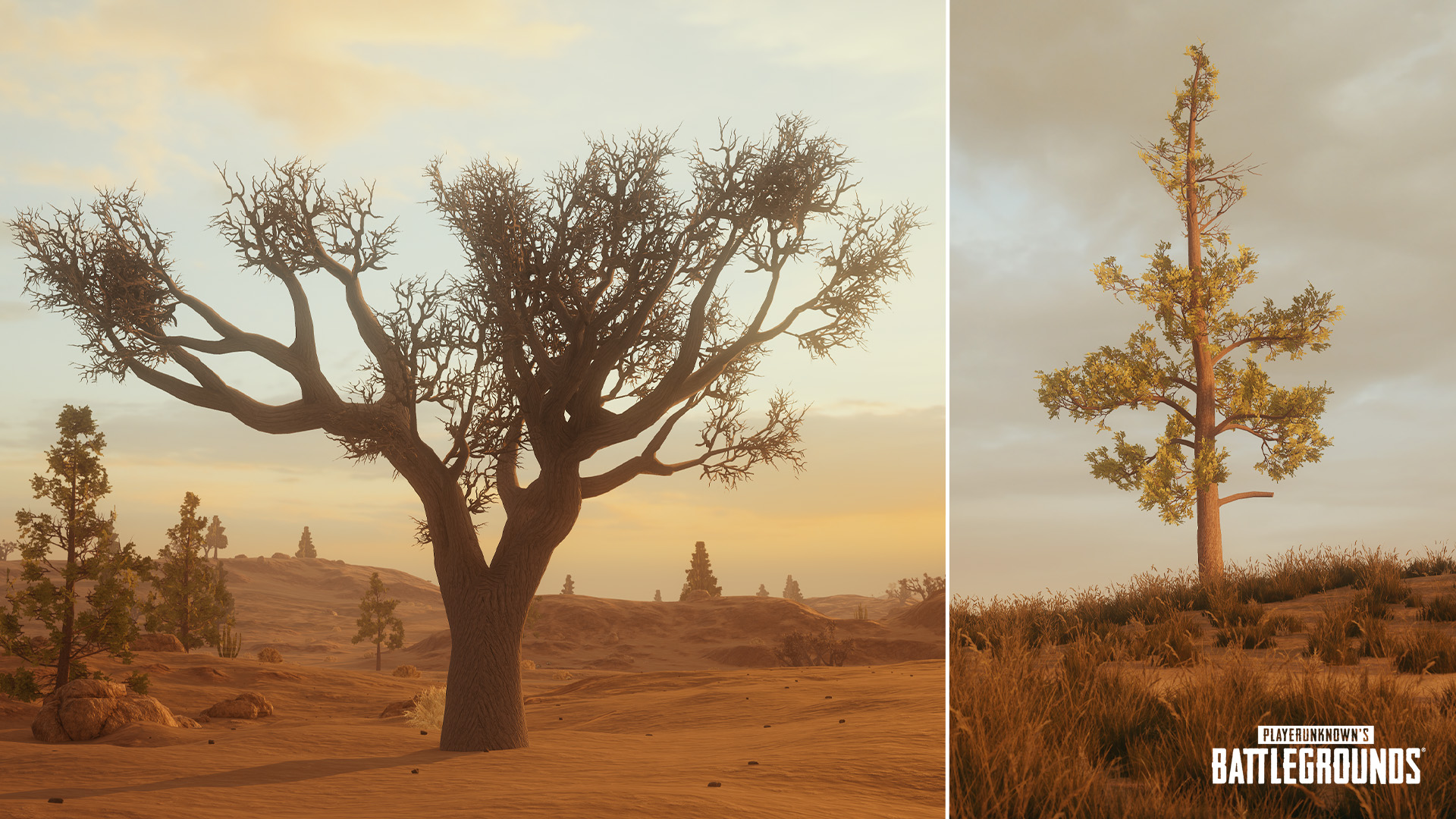 4._Foliage.jpg