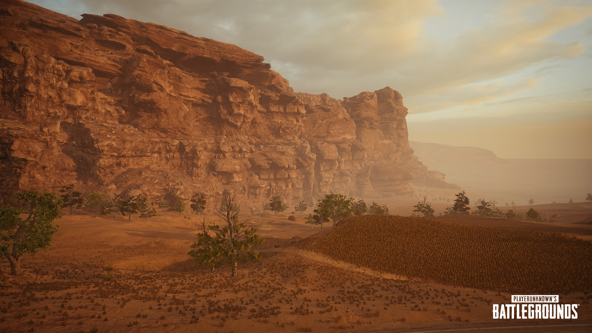 3._Cliff.jpg