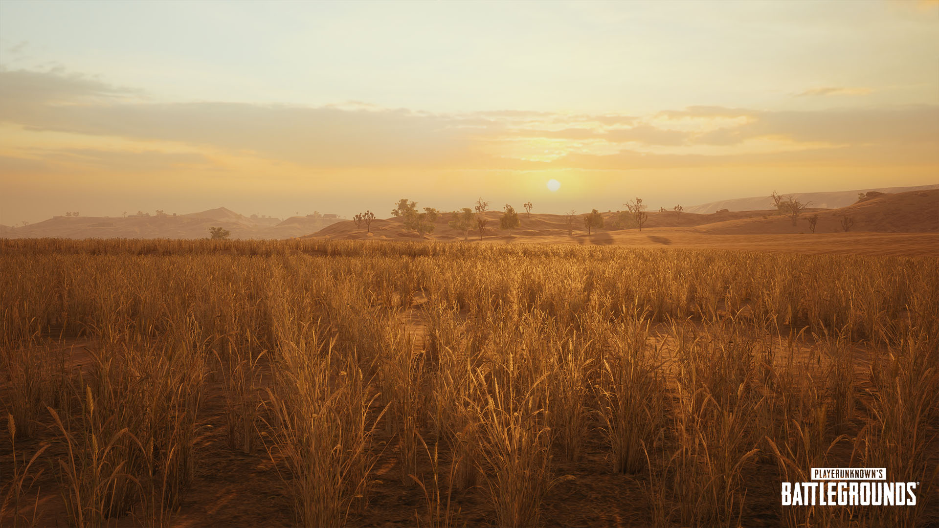 5._Light1.jpg